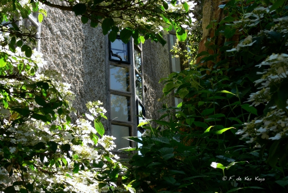 Bois des Moutiers (290) Mai 2012